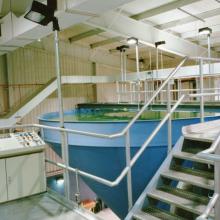 Lime Feed and Chlorination equipment