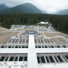 Aerial Overview of Cells