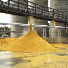 corn byproduct of ethanol process