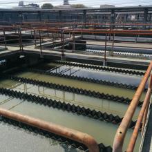 sedimentation tank
