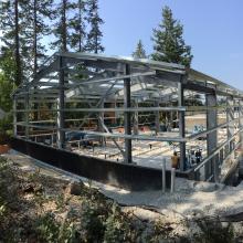Structural steel frame for new building